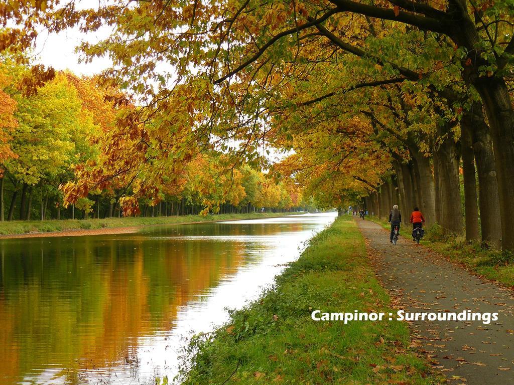 Apartment Campinor NeerNeerpelt Zewnętrze zdjęcie